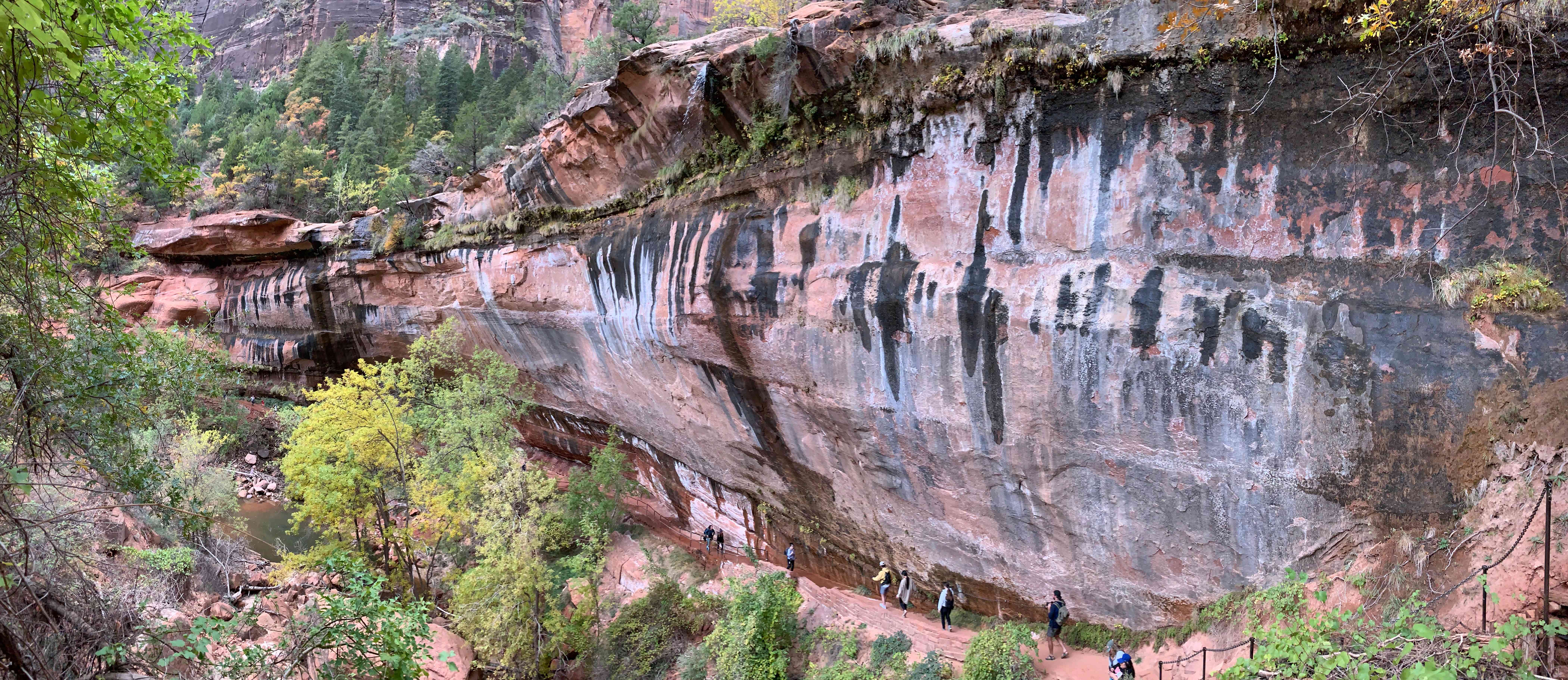 Zion NP